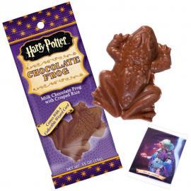 Harry Potter Suklaasammakko