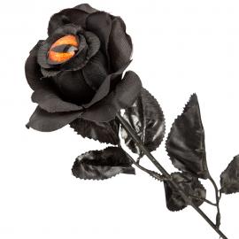 Musta Ruusu Silmällä