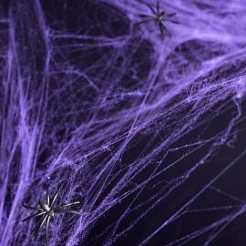Violetti Hämähäkinverkko