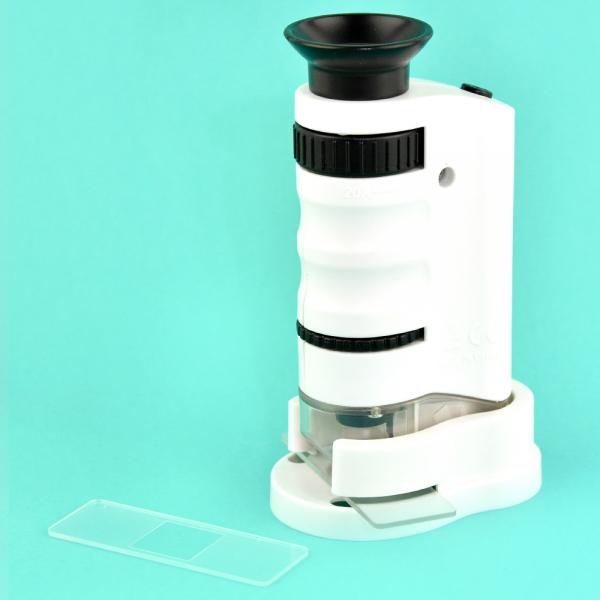 Pieni Mikroskooppi