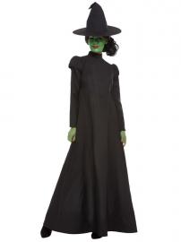 Wicked Witch Noidan Asu Medium