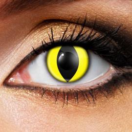 Crazy-piilolinssit Cat Eyes