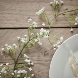 Köynnös Raunikki Botanical Wedding