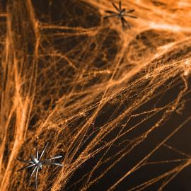 Oranssi Hämähäkinverkko