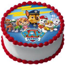 Paw Patrol Kakkukuva A