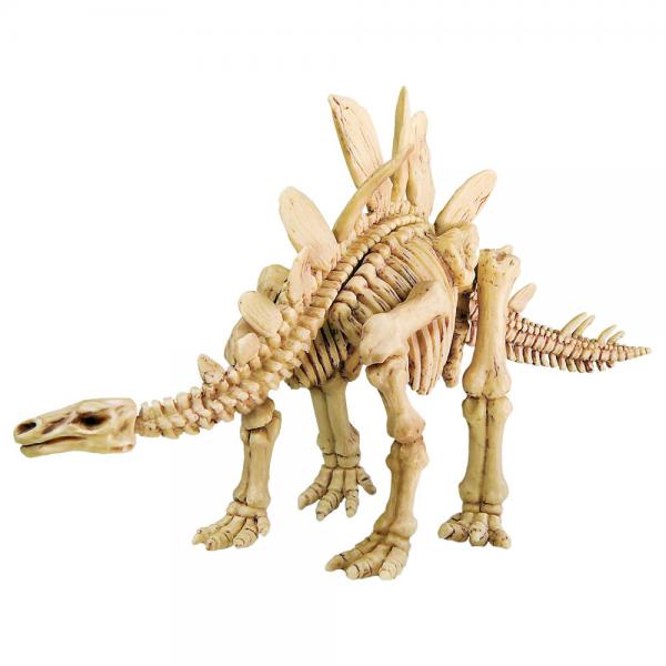 Kaivaussarja Stegosauruksen Luuranko