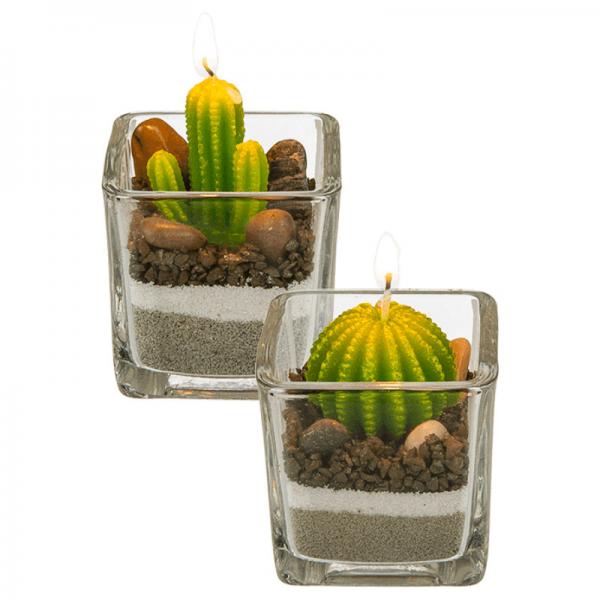 Kaktuskynttil Kivill
