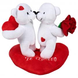 Jääkarhupari ja Sydän