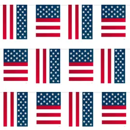 Lippunauha USA