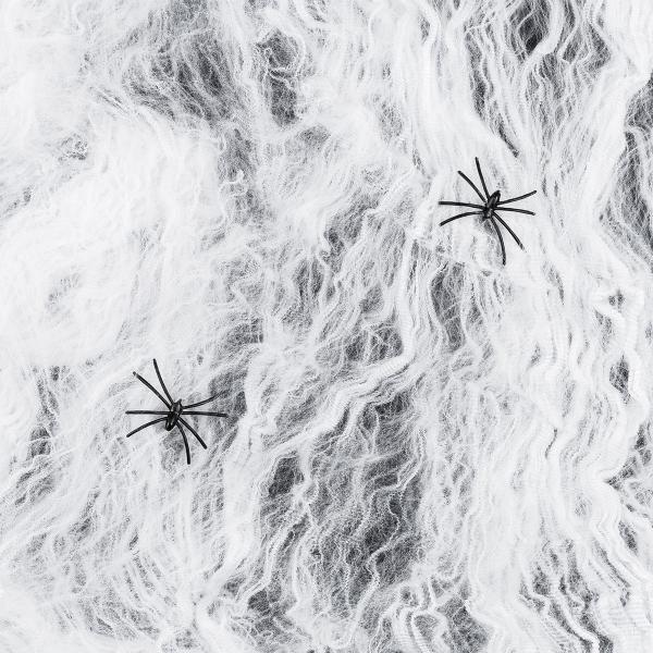 Hämähäkinverkko Hämähäkeillä 200g