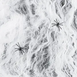 Hämähäkinverkko Hämähäkeillä 200g