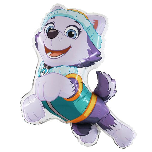 Everest Folioilmapallo