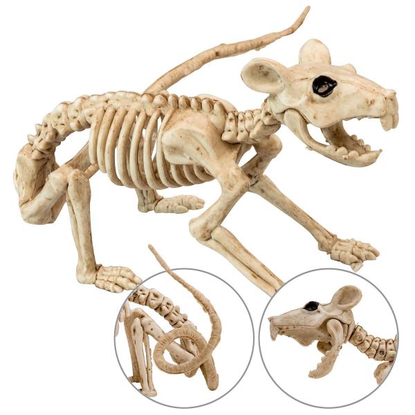 Rotan Luuranko Koriste