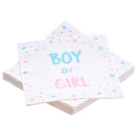 Servetit Boy or Girl 20 kpl