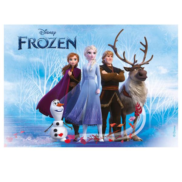 Kakkukuva Frozen Neliskanttinen