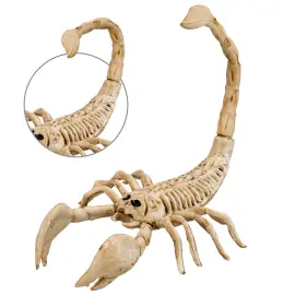 Skorpioni Luuranko Rekvisiitta