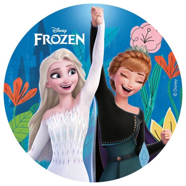 Kakkukuva Frozen Pyöreä
