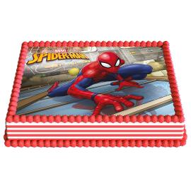 Kakkukuva Spiderman Neliskanttinen A