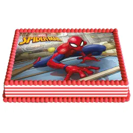 Kakkukuva Spiderman Neliskanttinen A