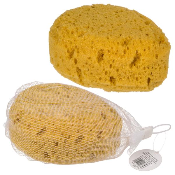 Pesusieni