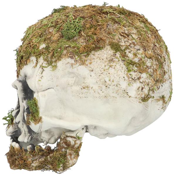 Pääkallo Sammaleella Koriste 19 cm