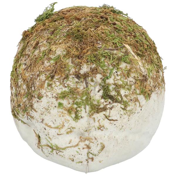 Pääkallo Sammaleella Koriste 19 cm