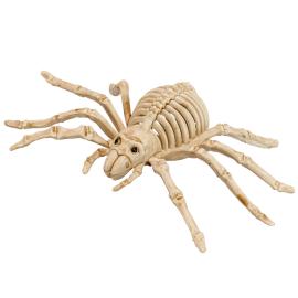 Luuranko Hämähäkin Koriste