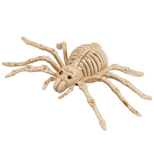 Luuranko Hämähäkin Koriste