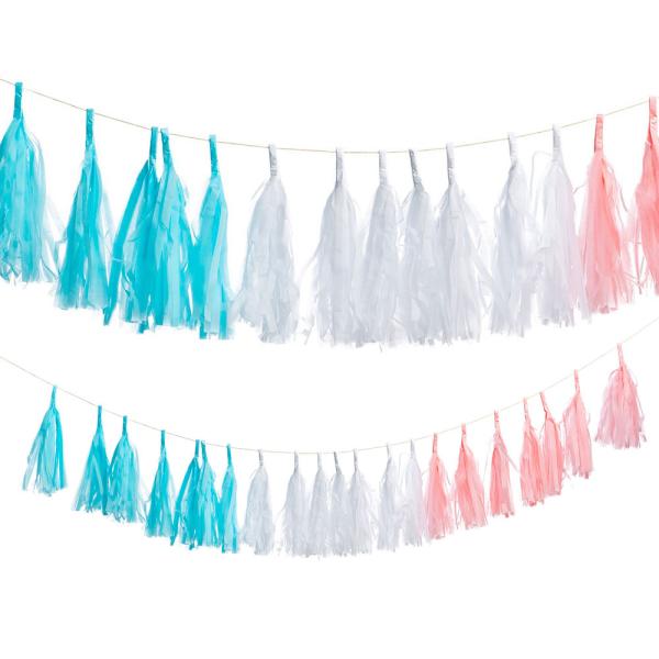 Gender Reveal Viirinauha