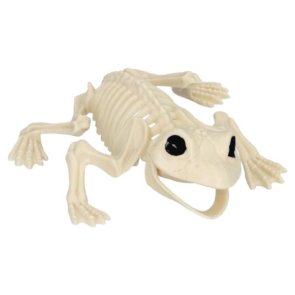 Luuranko Koriste Sammakko