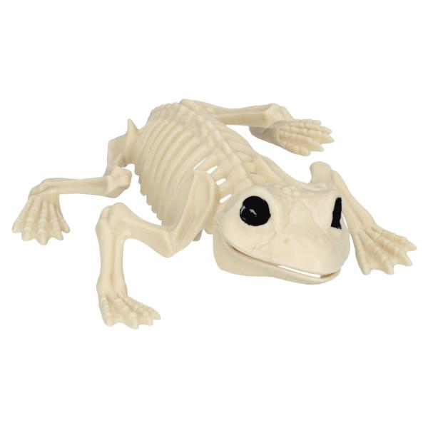 Luuranko Koriste Sammakko