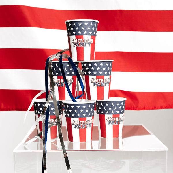 American Party Pahvimukit