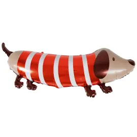 Folioilmapallo Raidallinen Koira