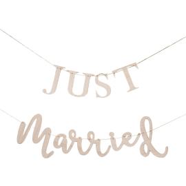Just Married Viiirinauha Botanical Wedding
