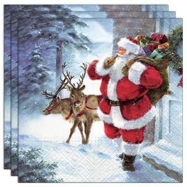 Santa is Coming Lautasliinat