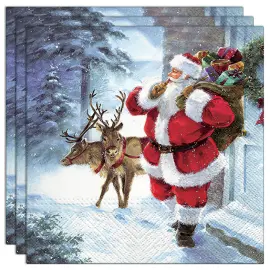 Santa is Coming Lautasliinat