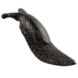 Tahmea Etana Musta 12,5 cm