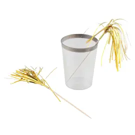 Pitkät Cocktailtikut Hapsuilla Kulta