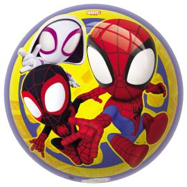 Spidey Pallo