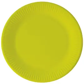Vaaleanvihreät Pahvilautaset Solid Color