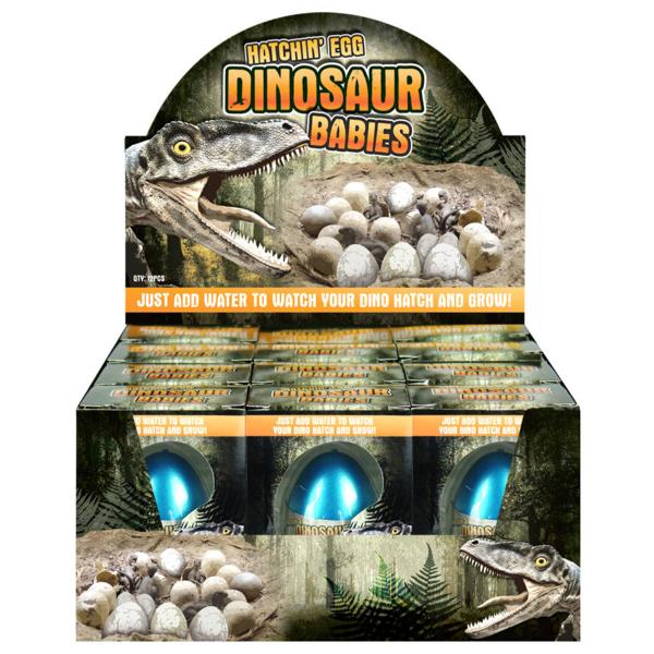 Kasvava Dinosaurusmuna 6 cm