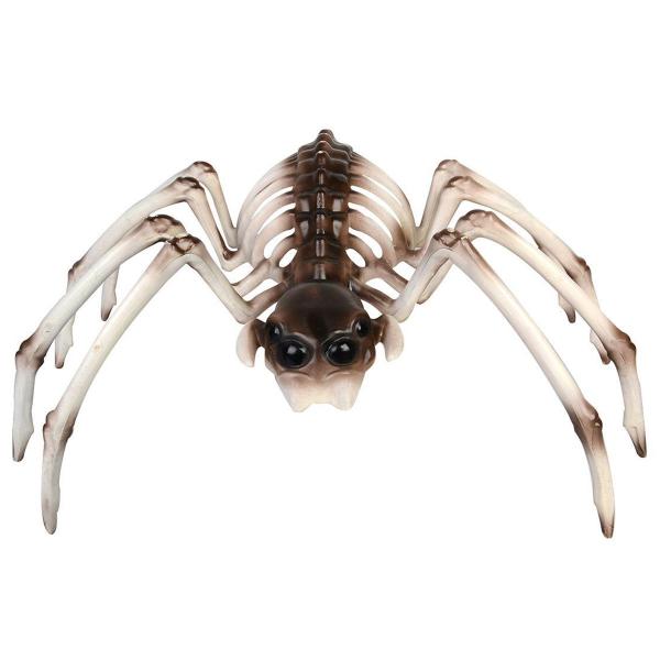 Hämähäkin Luuranko Koriste