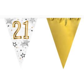 Viirinauha 21 vuotta T&auml;hdet