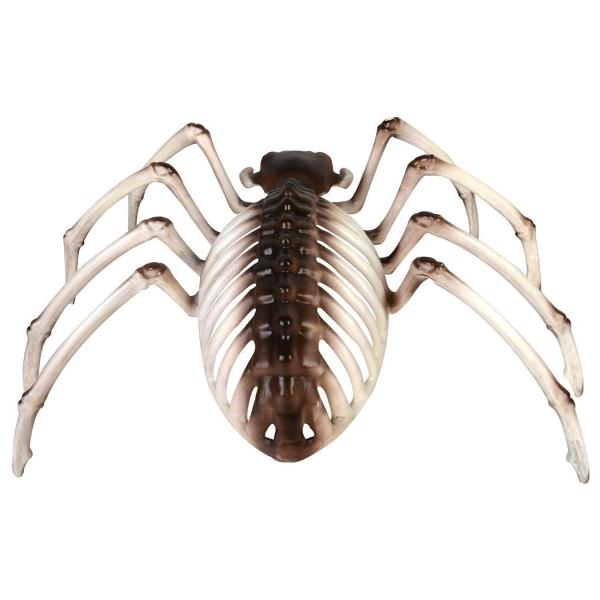 Hämähäkin Luuranko Koriste