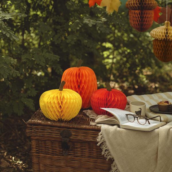 Honeycomb Kurpitsat 3-kpl