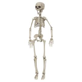 Riippuva Luurankokoriste 76 cm