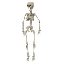 Riippuva Luurankokoriste 76 cm