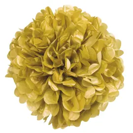 Pompom-koriste Kulta