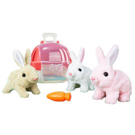 Kävelevä Kani Porkkanalla ja Kuljetuslaatikolla