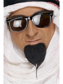 Sheikin Parta